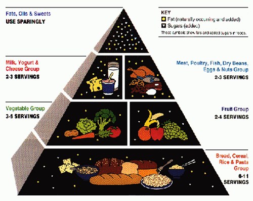 The Food Pyramid.
