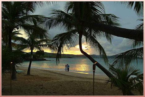 A Couple Taking A Romantic Stroll On A Beautiful Beach. 